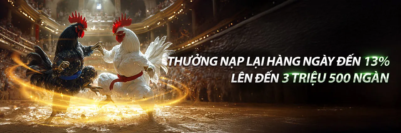 Win99 Code Thể Thao - Sân vận động sôi động